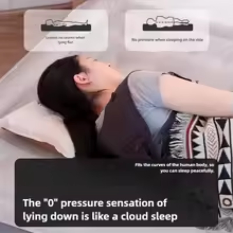Inflatable Air Mattress Built- - đánh giá và giá Tech Queen